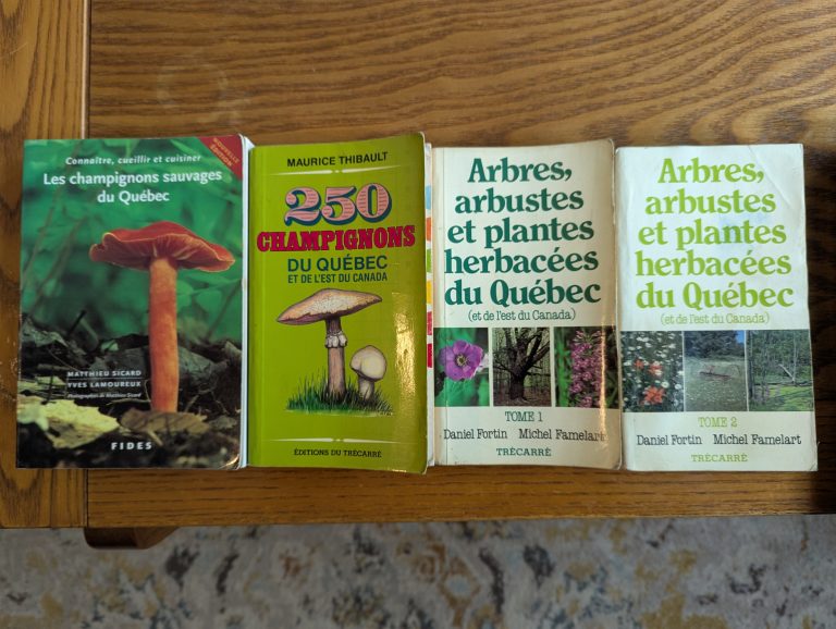 PXL_20260905_161135269
